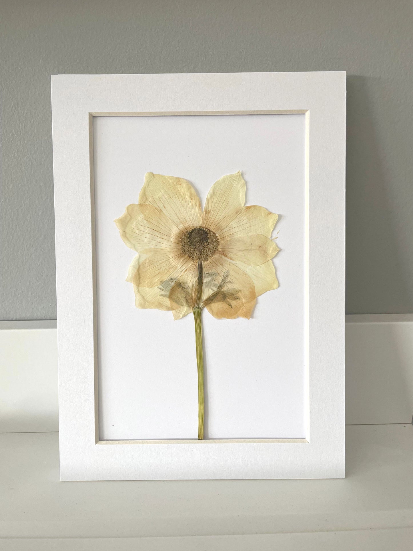 Mini Matted Original Flower Art 4x6