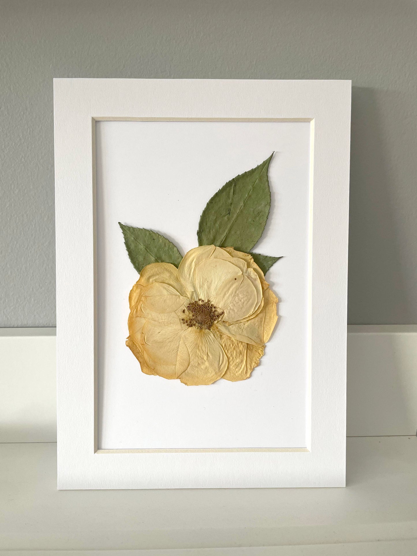 Mini Matted Original Flower Art 4x6