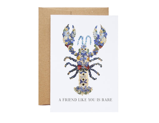 a friend like you is rare blue lobster meaning nova scotia 1 in 2 million