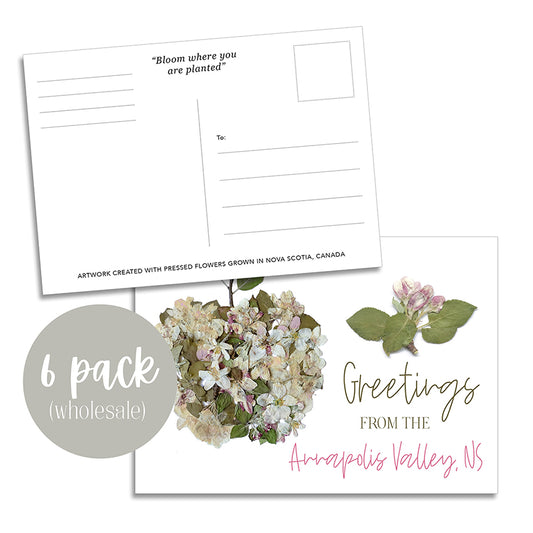 Post Card- 6 Pack Retail Set, Apple Blossom