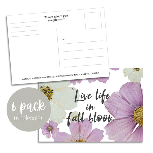Post Card- 6 Pack Retail Set, Bloom