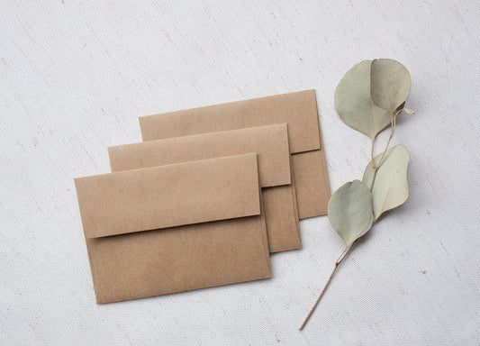 Cardinal,  Holiday Note Card Set