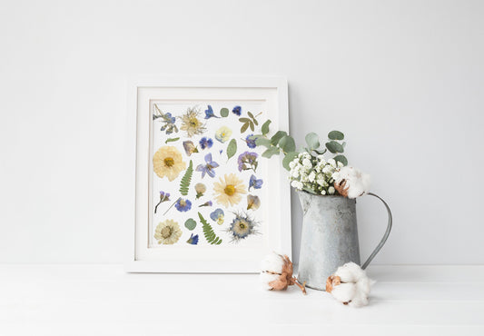 Blue and White Flower Collage, Pressed Flower 8x10 Art Print