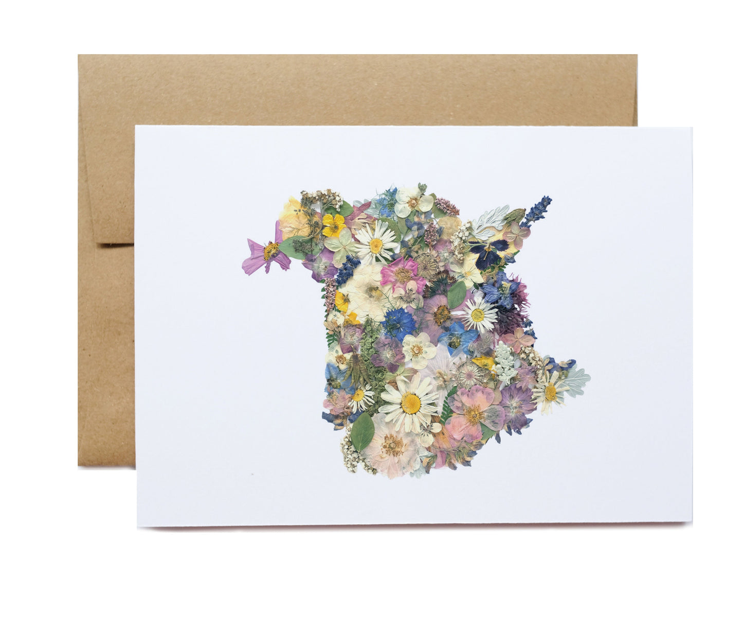 New Brunswick Flower Map , Note Card Set