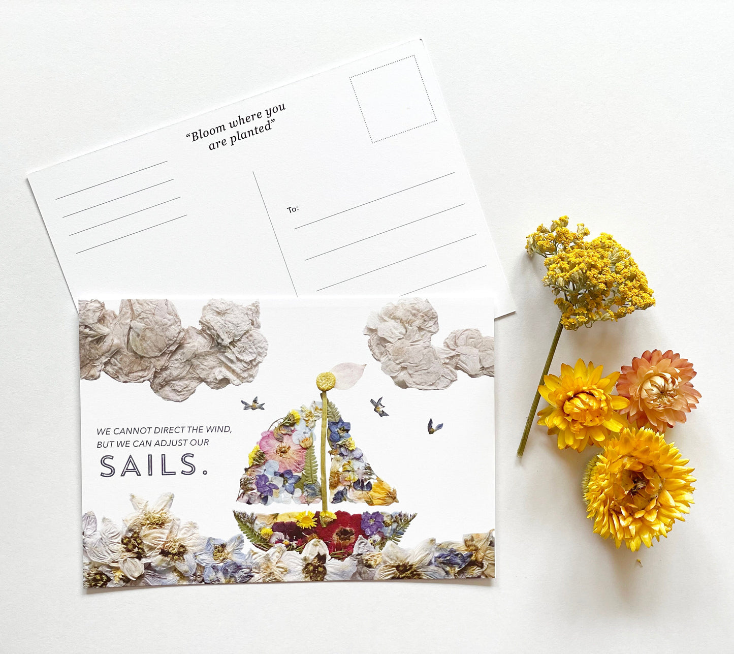 Post Cards- Set of 3 Pressed Flower Art Postcards - Nautical Sailboat, Bear, Rainbow