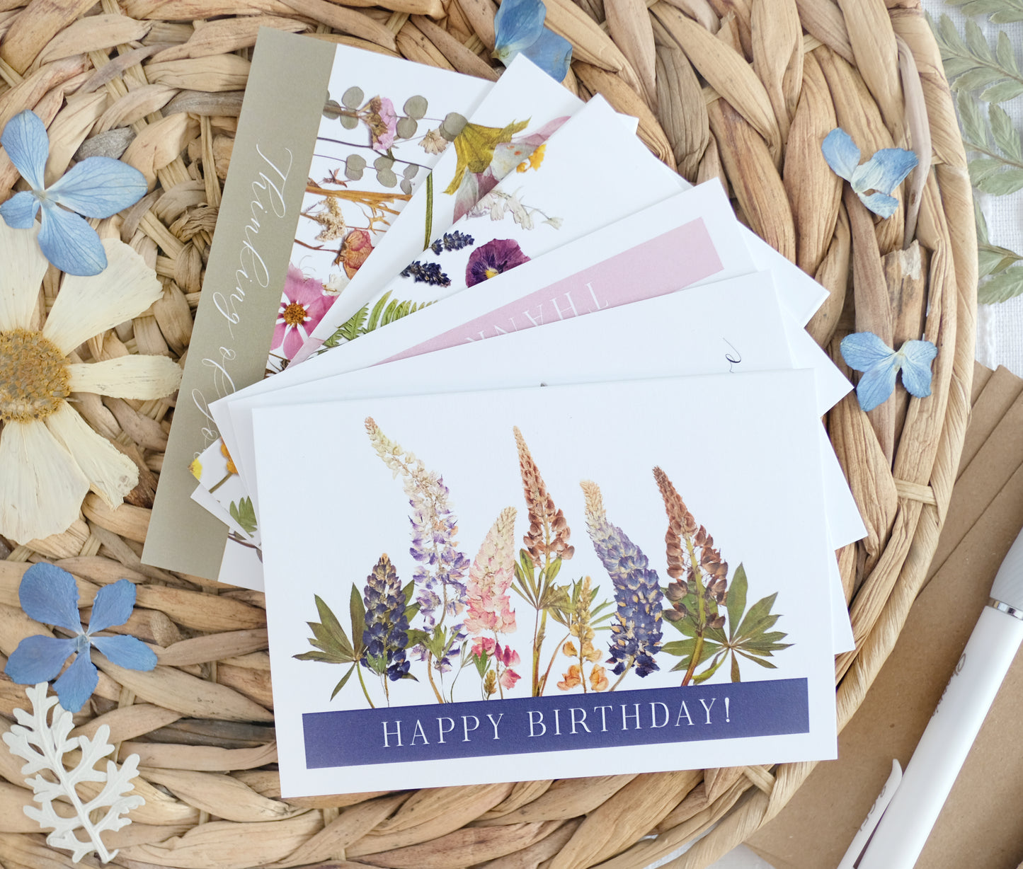 Mixed Pack, Celebration & Greeting, Note Card Set