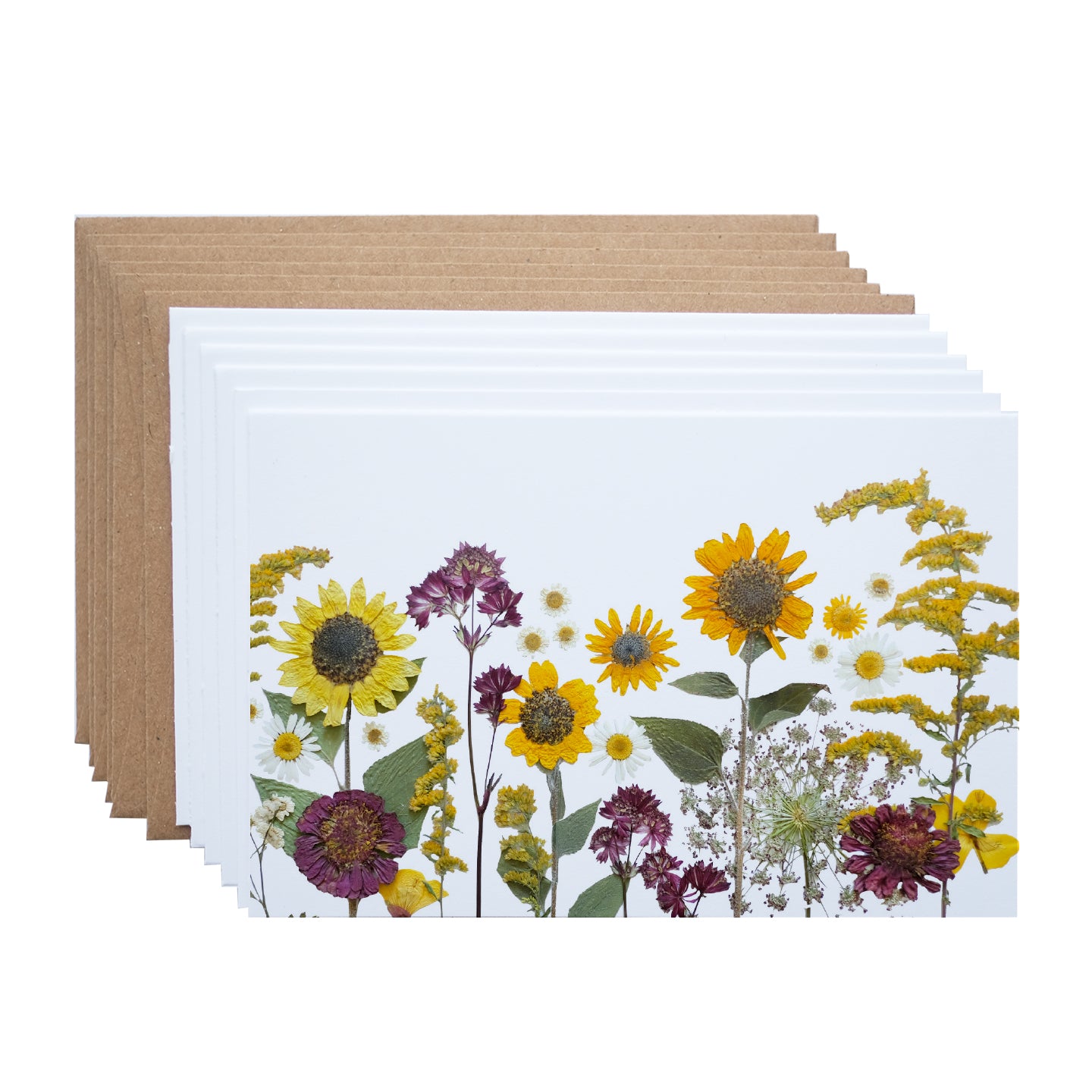 note cards with natural pressed sunflowers in fall colours